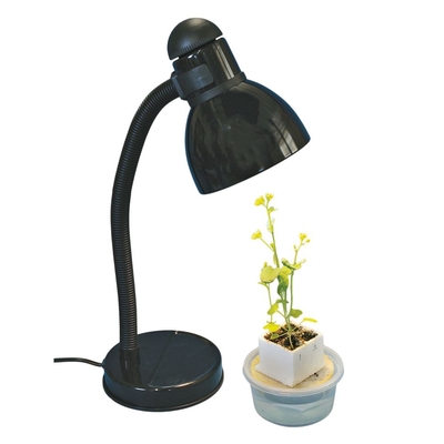 Replacement LED Bulb for Individual Plant Light