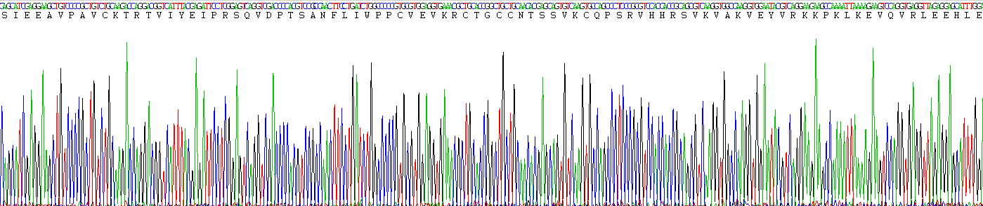 Figure. Gene Sequencing (extract)