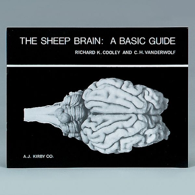 The Sheep Brain: A Basic Guide