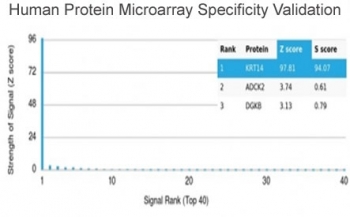 Analysis of HuProt(TM) microarray containing more than 19,000 full-length human proteins using KRT14 antibody (clone KRT14/4128). These results demonstrate the foremost specificity of the KRT14/4128 mAb. Z- and S- score: The Z-score represents the strength of a signal that an antibody (in combination with a fluorescently-tagged anti-IgG secondary Ab) produces when binding to a particular protein on the HuProt(TM) array. Z-scores are described in units of standard deviations (SD's) above the mean value of all signals generated on that array. If the targets on the HuProt(TM) are arranged in descending order of the Z-score, the S-score is the difference (also in units of SD's) between the Z-scores. The S-score therefore represents the relative target specificity of an Ab to its intended target.