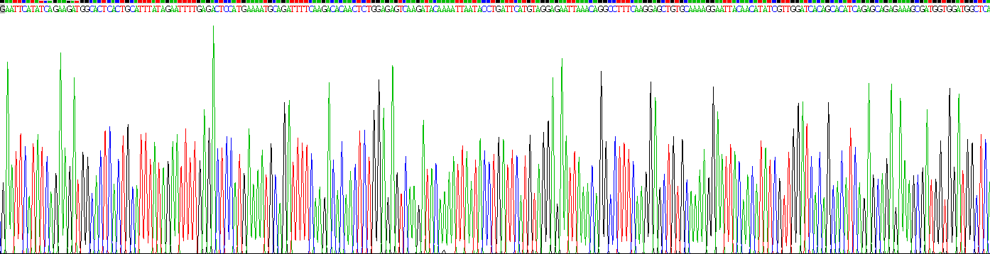 Figure. Gene Sequencing (extract)