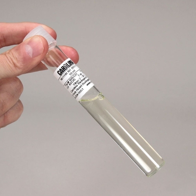 Nutrient Broth, Prepared Media Tubes, Pack of 10  