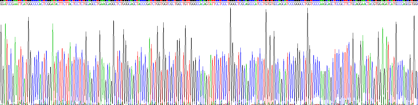 Figure. Gene Sequencing (extract)