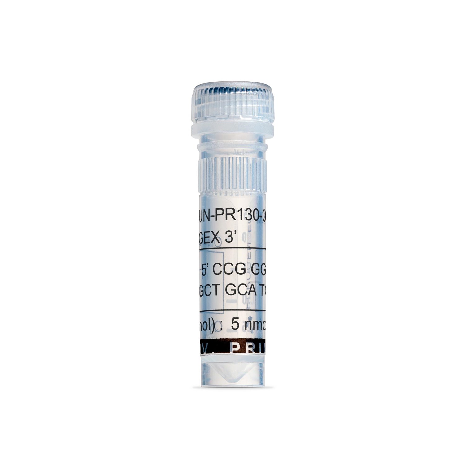 pGEX 3' - 5 nmol