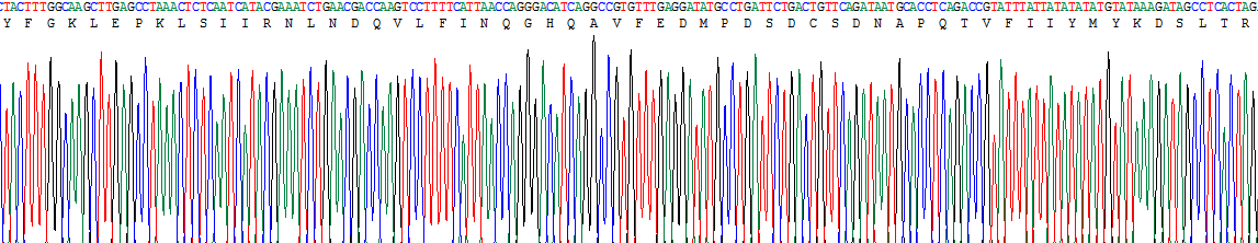 Figure. Gene Sequencing (extract)