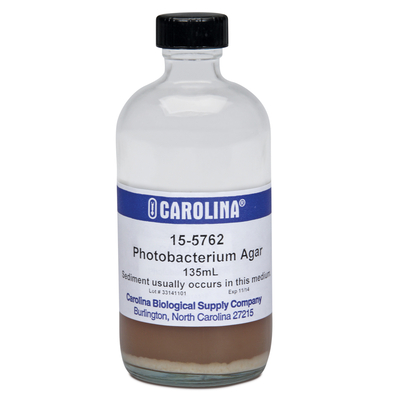 Photobacterium Agar, Prepared Media Bottle, 125 mL