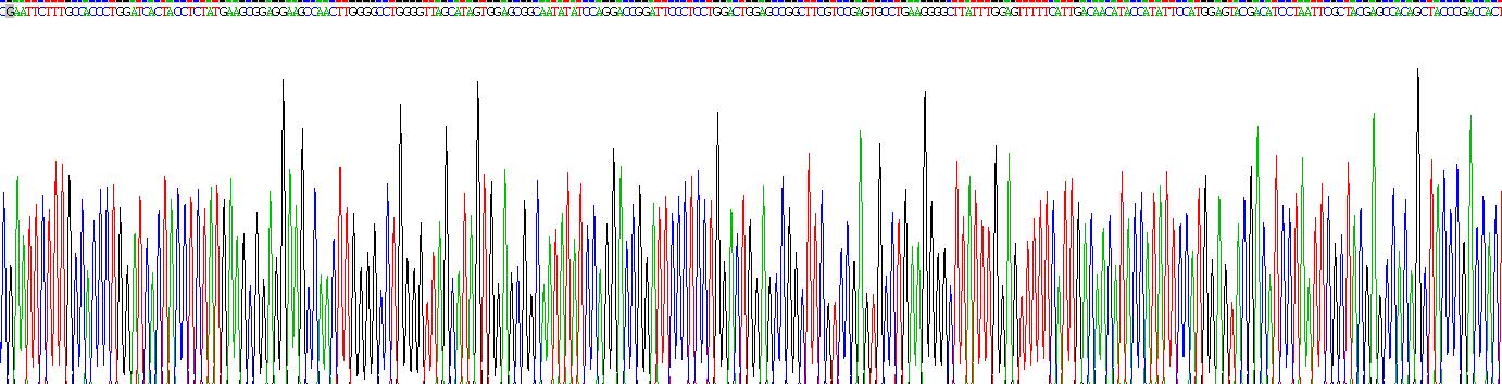 Figure. Gene Sequencing (extract)