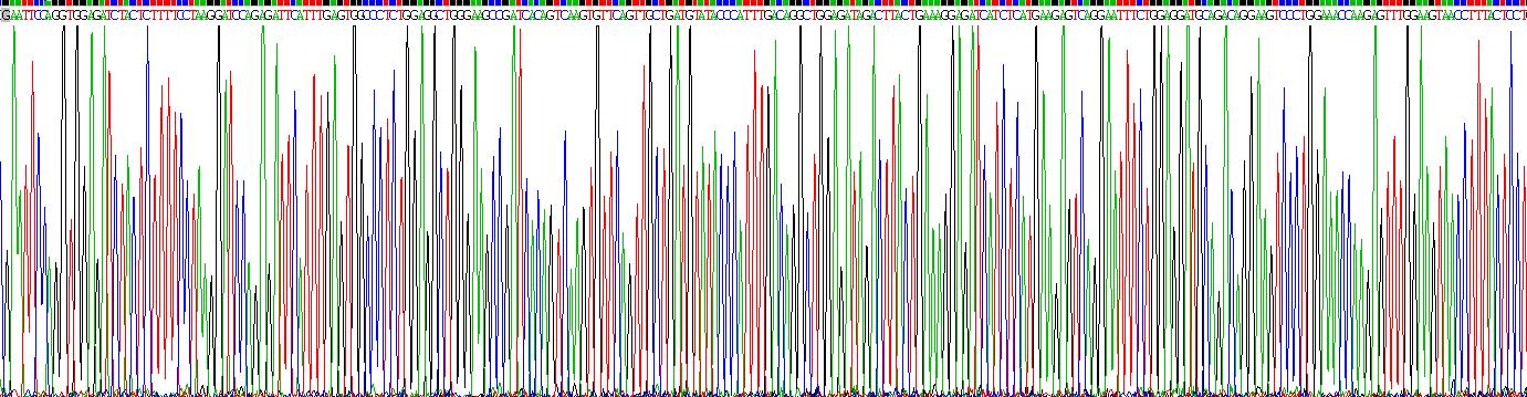 Figure. Gene Sequencing (extract)