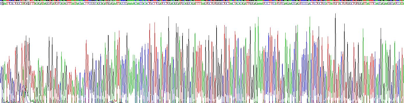 Figure. Gene Sequencing (extract)