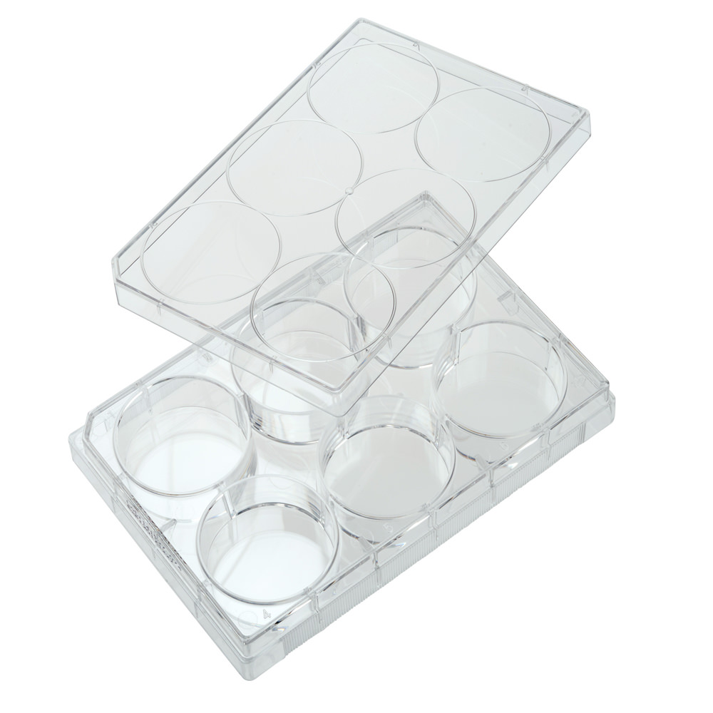 6 Well Tissue Culture Plate with Lid, Individual, Sterile