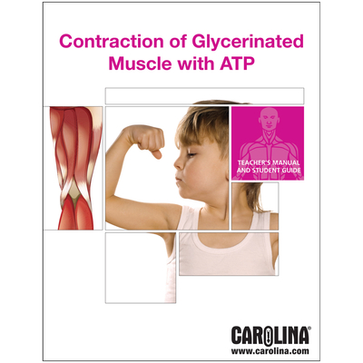 Contraction of Glycerinated Miscle with ATP Digital Resources