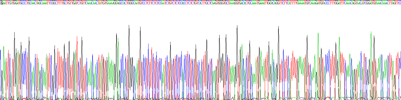 Figure. Gene Sequencing (extract)