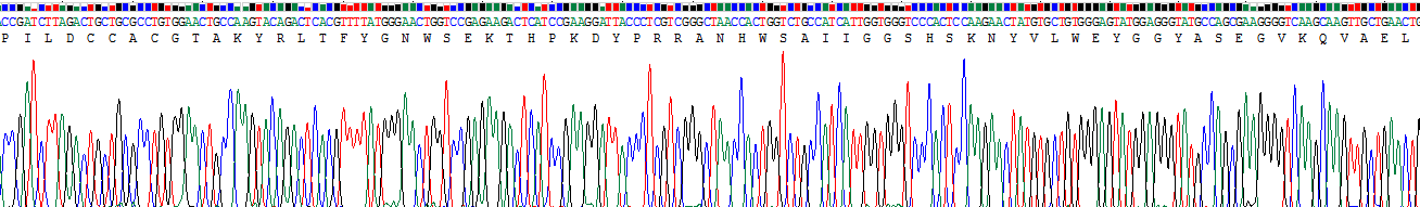 Figure. Gene Sequencing (extract)