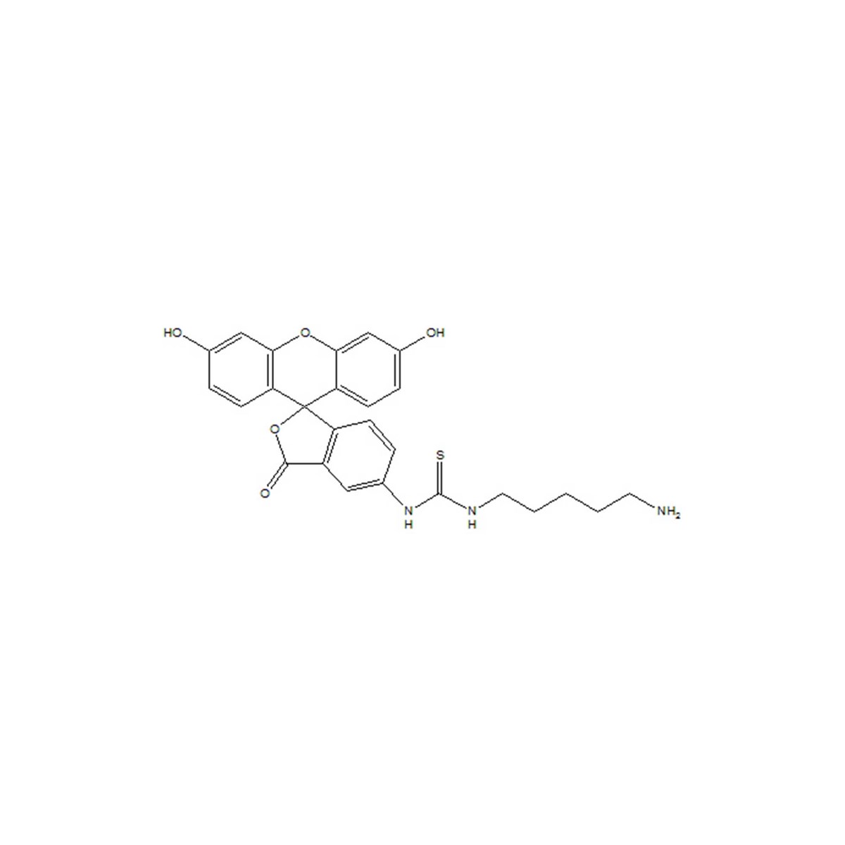 5-FITC cadaverine [5-((5-Aminopentyl)thioureidyl)fluorescein] - 5 mg