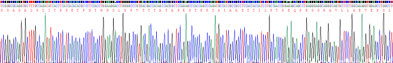 Figure. Gene Sequencing (extract)