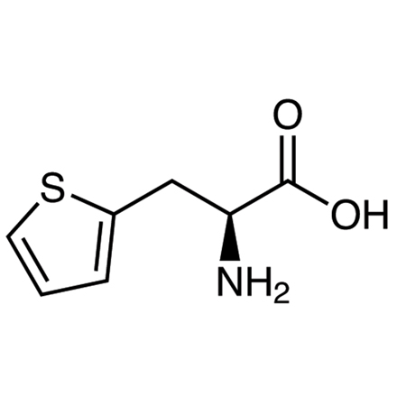 3-(2-Thienyl)-L-alanine, CAS RN: 22951-96-8, Product Number: T3475