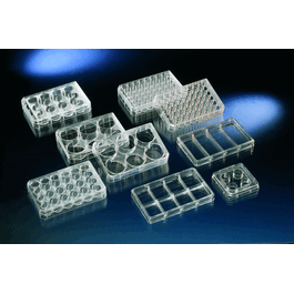 Thermo Scientific™ Nunc™ Cell-Culture Treated Multidishes