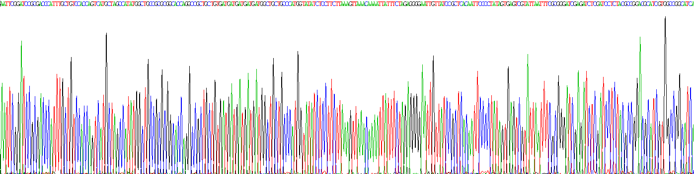 Figure. Gene Sequencing (extract)