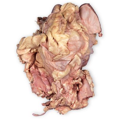 Carolinas Perfect Solution® Sheep Heart in Pericardium, Plain, 1 Per Bag