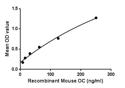 Figure. The binding activity of OC with FUR.<br/>Osteocalcin (OC), also known as bone gamma-carboxyglutamic acid-containing protein (BGLAP), is a noncollagenous protein hormone found in bone and dentin. Osteocalcin is secreted solely by osteoblasts and thought to play a role in the body's metabolic regulation and is pro-osteoblastic, or bone-building, by nature. It is also implicated in bone mineralization and calcium ion homeostasis. Osteocalcin acts as a hormone in the body, causing beta cells in the pancreas to release more insulin, and at the same time directing fat cells to release the hormone adiponectin, which increases sensitivity to insulin. Besides, Furin (FUR) has been identified as an interactor of OC, thus a binding ELISA assay was conducted to detect the interaction of recombinant mouse OC and recombinant mouse FUR. Briefly, OC were diluted serially in PBS, with 0.01% BSA (pH 7.4). Duplicate samples of 100μl were then transferred to FUR-coated microtiter wells and incubated for 2h at 37℃. Wells were washed with PBST and incubated for 1h with anti-OC pAb, then aspirated and washed 3 times. After incubation with HRP labelled secondary antibody, wells were aspirated and washed 3 times. With the addition of substrate solution, wells were incubated 15-25 minutes at 37℃. Finally, add 50µL stop solution to the wells and read at 450nm immediately. The binding activity of OC and FUR was shown in Figure 1, and this effect was in a dose dependent manner.