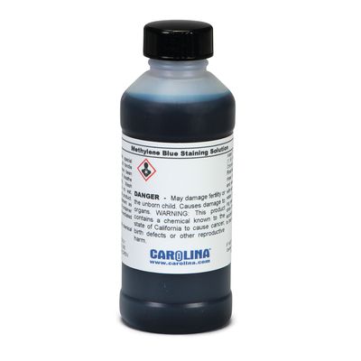 Methylene Blue Staining Solution, 0.2% in 25% Ethanol, Laboratory Grade, 100 mL