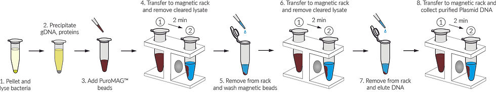 4-Positions MAXI Magnetic Rack (fits 50 mL tubes)