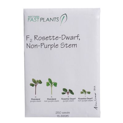Wisconsin Fast Plants® F<sub>2</sub> Rosette-Dwarf, Non-Purple Stem Seed (F<sub>2</sub> Rosette, Anthocyaninless), Pack of 250