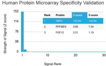 Analysis of HuProt(TM) microarray containing more than 19,000 full-length human proteins using Retinol Binding Protein 4 antibody. These results demonstrate the foremost specificity of the RBP4/4041 mAb. Z- and S- score: The Z-score represents the strength of a signal that an antibody (in combination with a fluorescently-tagged anti-IgG secondary Ab) produces when binding to a particular protein on the HuProt(TM) array. Z-scores are described in units of standard deviations (SD's) above the mean value of all signals generated on that array. If the targets on the HuProt(TM) are arranged in descending order of the Z-score, the S-score is the difference (also in units of SD's) between the Z-scores. The S-score therefore represents the relative target specificity of an Ab to its intended target.