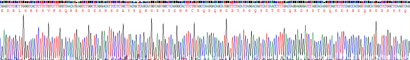 Figure. Gene Sequencing (extract)