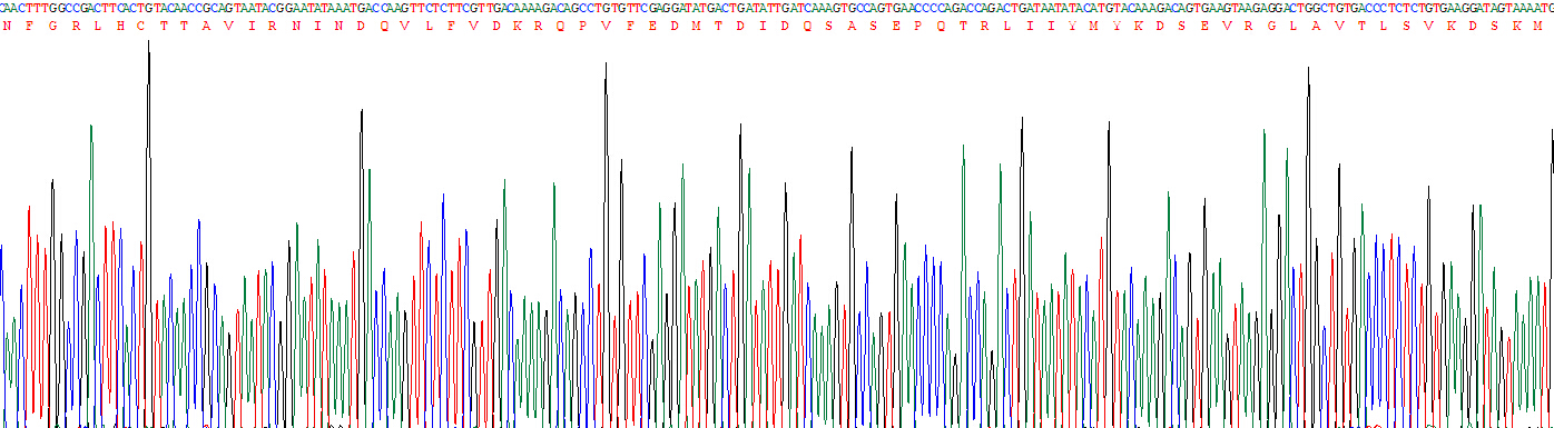 Figure. Gene Sequencing (extract)