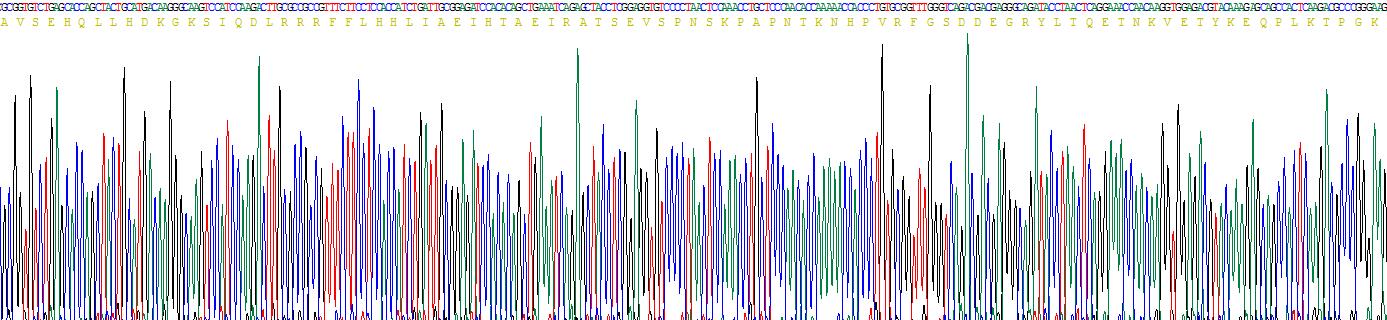 Figure. Gene Sequencing (extract)