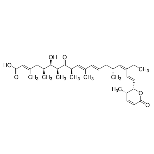Leptomycin B