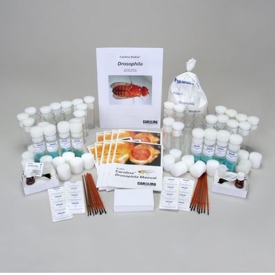 Carolina BioKits®: Drosophila 8-Station Kit (with perishables)