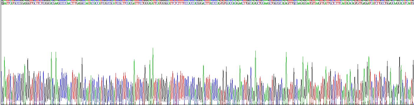 Figure. Gene Sequencing (extract)