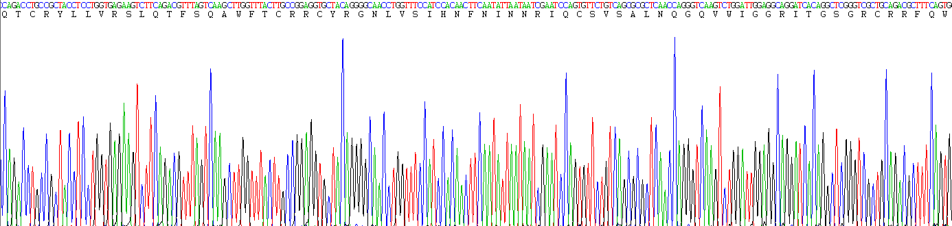 Figure. Gene Sequencing (extract)
