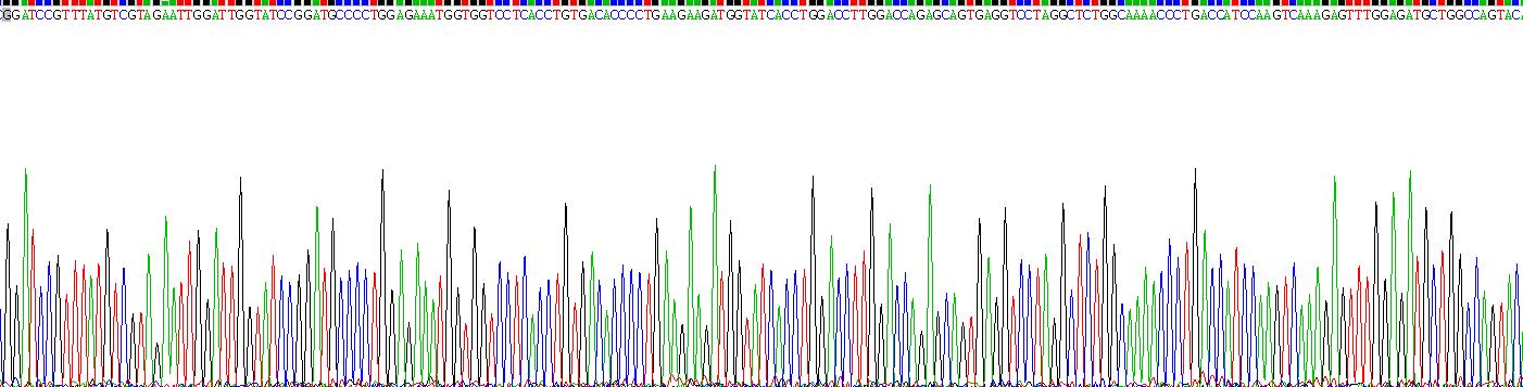 Figure. Gene Sequencing (extract)