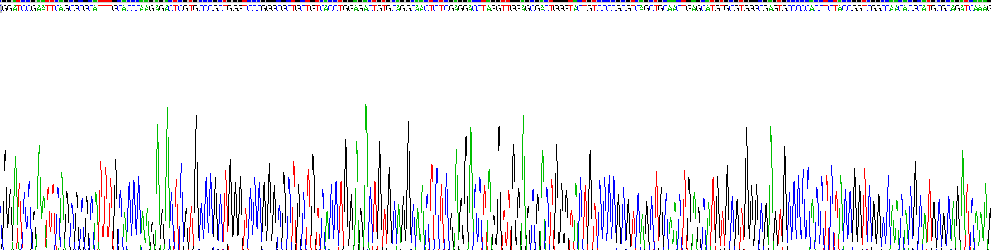 Figure. Gene Sequencing (extract)