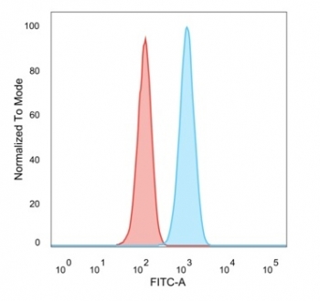 FACS staining of PFA-fixed human HeLa cells with SCXA antibody (blue, clone PCRP-SCXA-2D11), and unstained cells (red).
