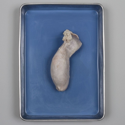 Formalin Bull Testicle, Plain, 1 Per Bag