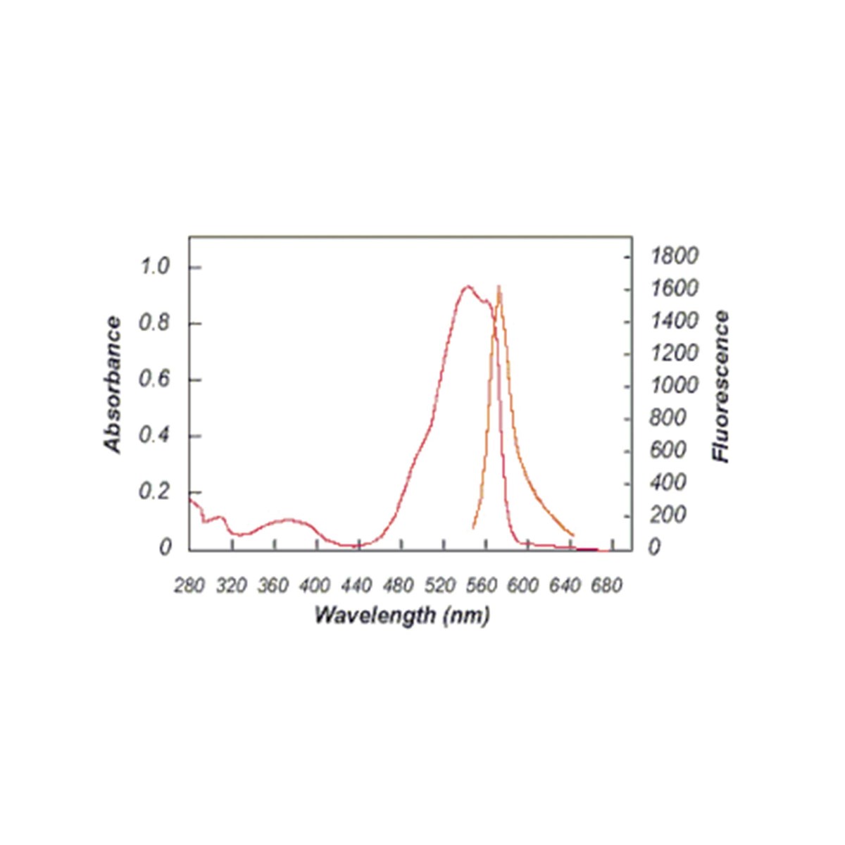 B-PE (B-Phycoerythrin) - 1 mg