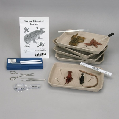 Basic Animal Dissection Kit