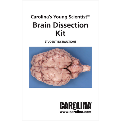 Brain Dissection Digital Resources