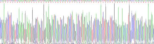Figure. Gene Sequencing (extract)