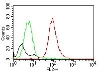Anti-CD63 Antibody [MX-49.129.5] (PE)