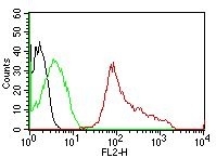 Anti-CD63 Antibody [MX-49.129.5] (PE)