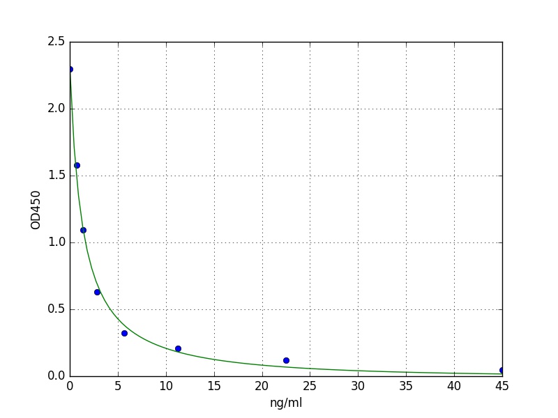 Rat Estradiol ELISA Kit