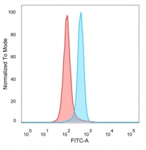 FACS staining of PFA-fixed human HeLa cells with RPS6KA5 antibody (blue, clone PCRP-RPS6KA5-1A8) and isotype control (red).