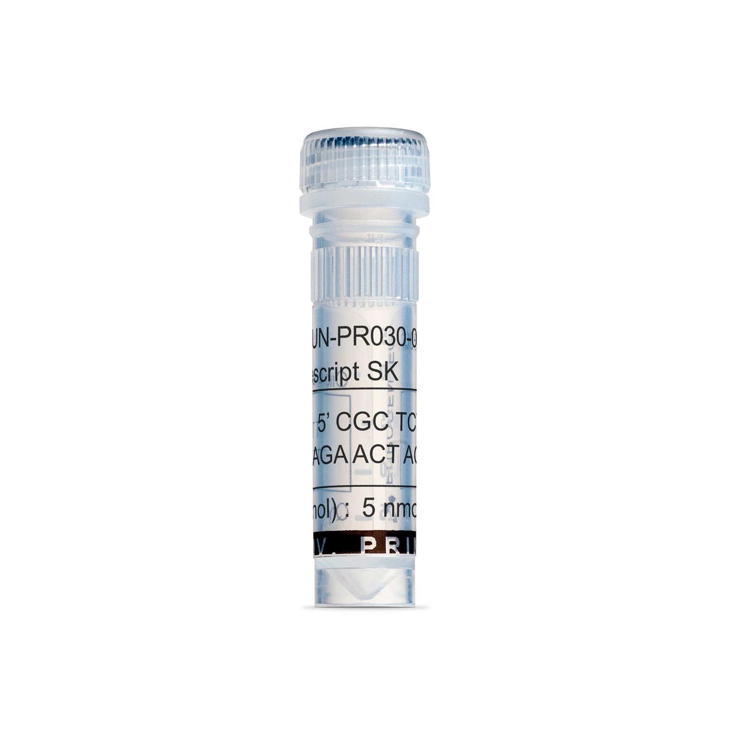 Bluescript SK - 5 nmol
