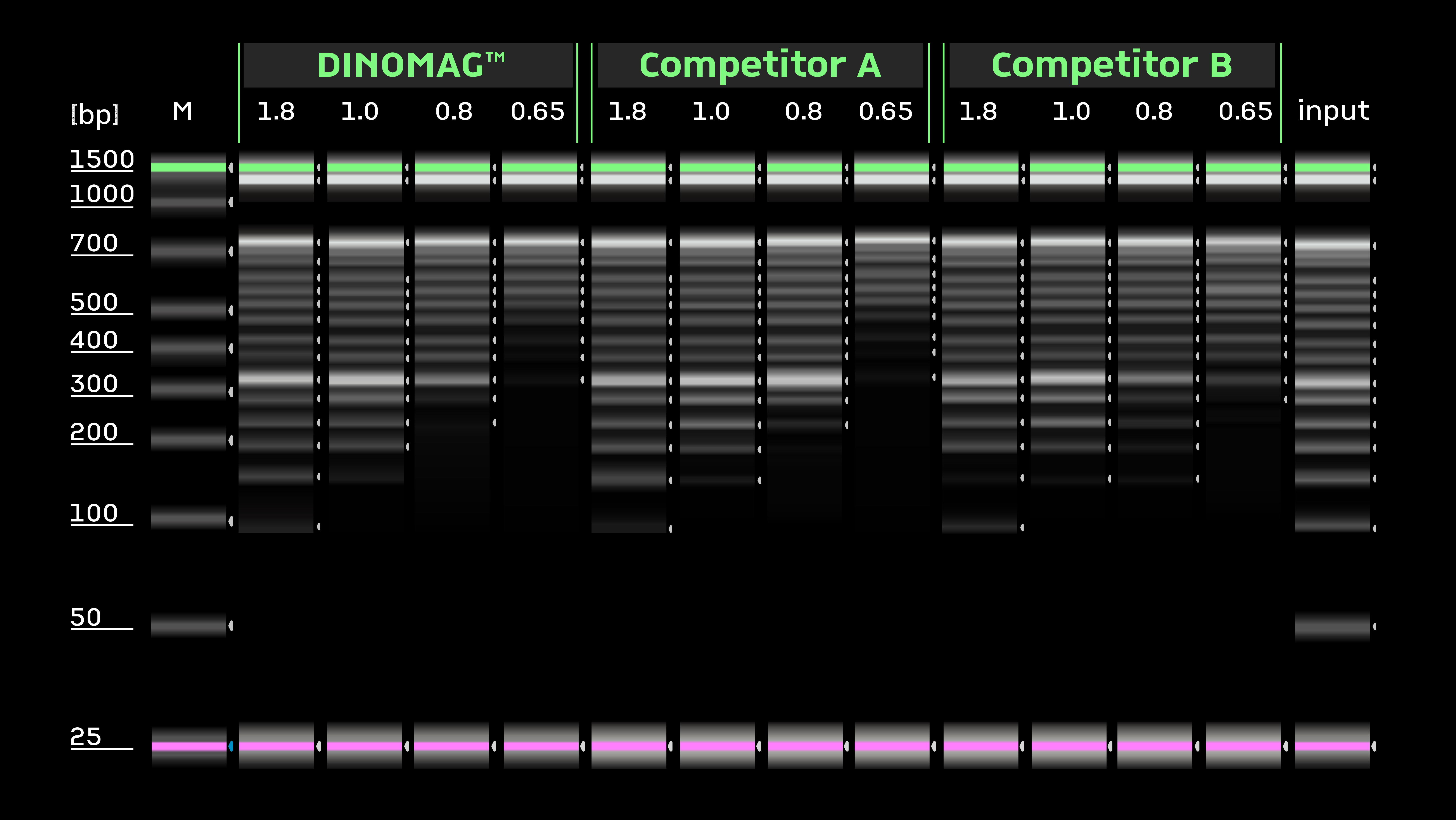 Competitor Comparison - Left side size selection fraction retained by beads with different reagent-to-sample volume ratios on TapeStation ScreenTape.