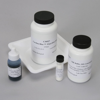 Electrophoresis Reagent Refill, EA | Labscoop